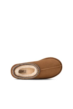 Bota Tasman