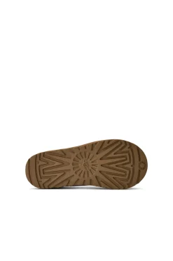 Bota Tasman