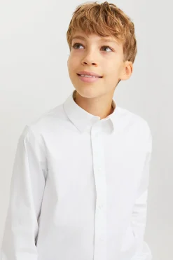 Camisa formal regular fit