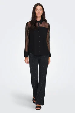 Camisa manga larga transparente