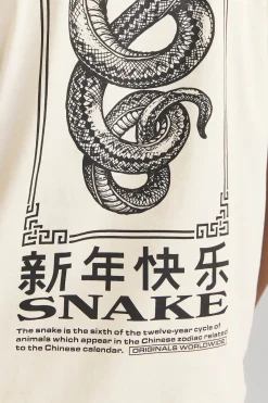 Camiseta loose fit manga corta