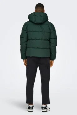Chaqueta acolchada con capucha