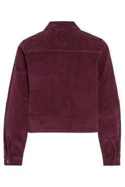 Chaqueta corta de pana