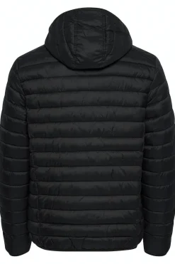 Chaqueta Puffer con capucha
