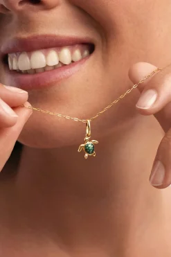 Charm Tortuga Ba&ntilde;o Oro