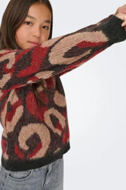 Jersey leo de ni&ntilde;a