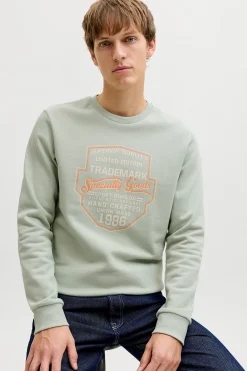 Sudadera b&aacute;sica manga larga