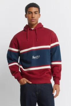Sudadera capucha cortes