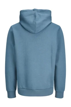 Sudadera con capucha regular fit
