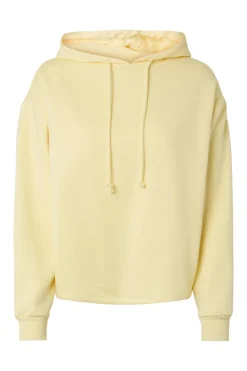 Sudadera hoodie b&aacute;sica