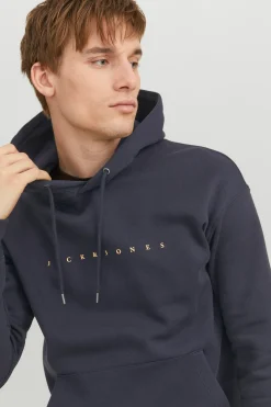 Sudadera logo con capucha