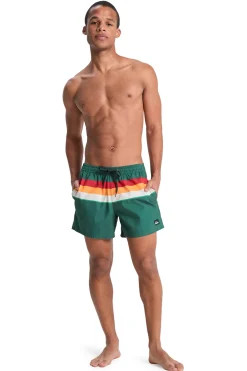 Traje de ba&ntilde;o logo